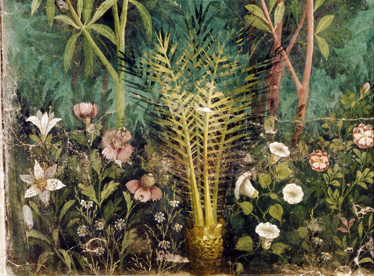 La maravillosa pintura en Pompeya y sus colores.