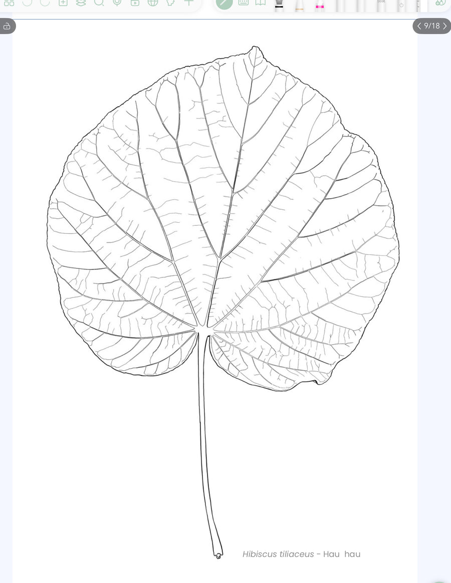 Plantas de Rapa Nui para Pintar - Edición Digital