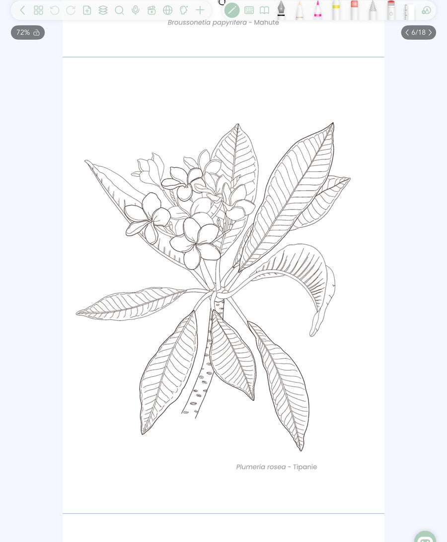 Plantas de Rapa Nui para Pintar - Edición Digital