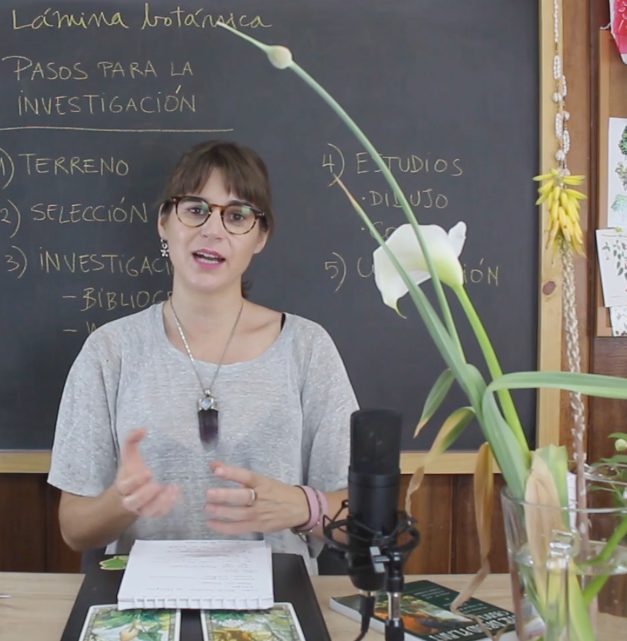 Curso Online: Lámina botánica con 3 tipos de flores - Geraldine MacKinnon