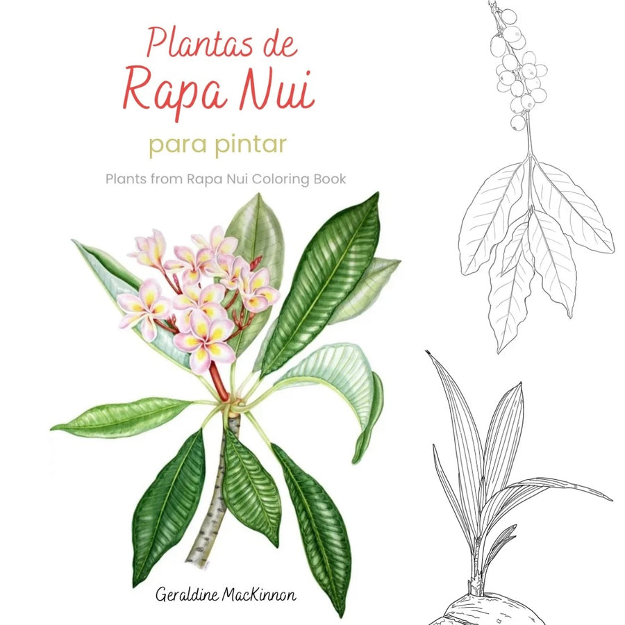 PREVENTA Libro Plantas de Rapa Nui para pintar