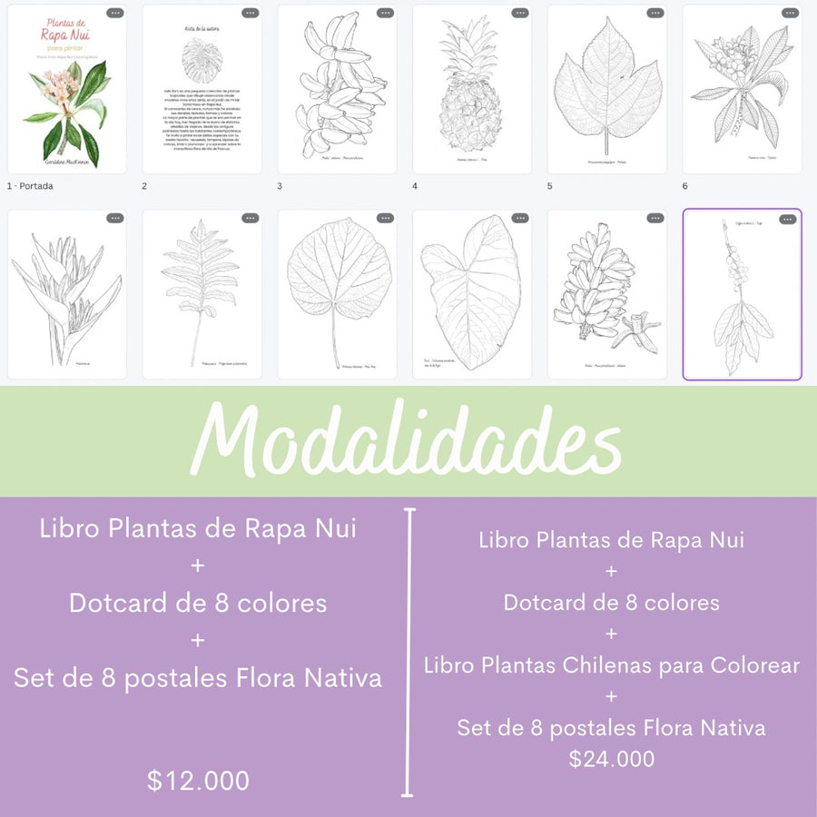 PREVENTA Libro Plantas de Rapa Nui para pintar