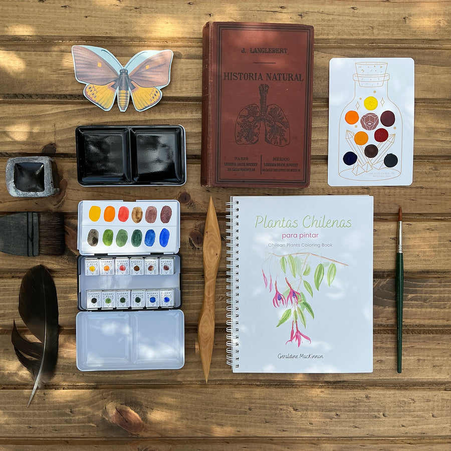 Set de 12 colores - Historia Natural