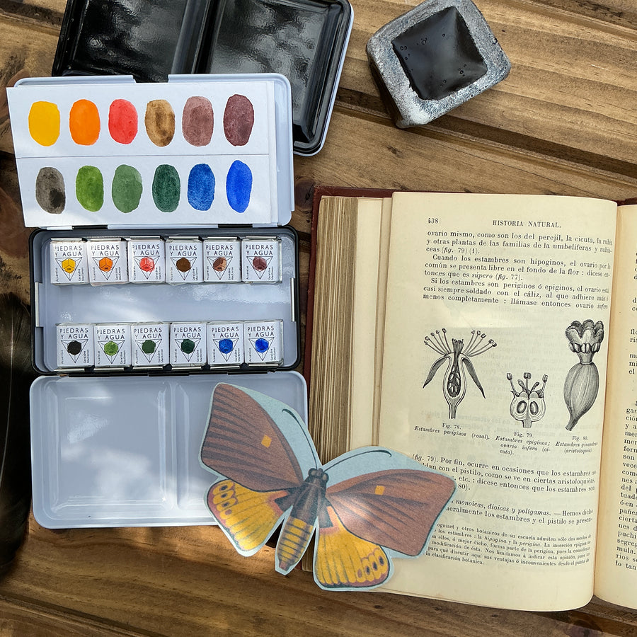 Set de 12 colores - Historia Natural