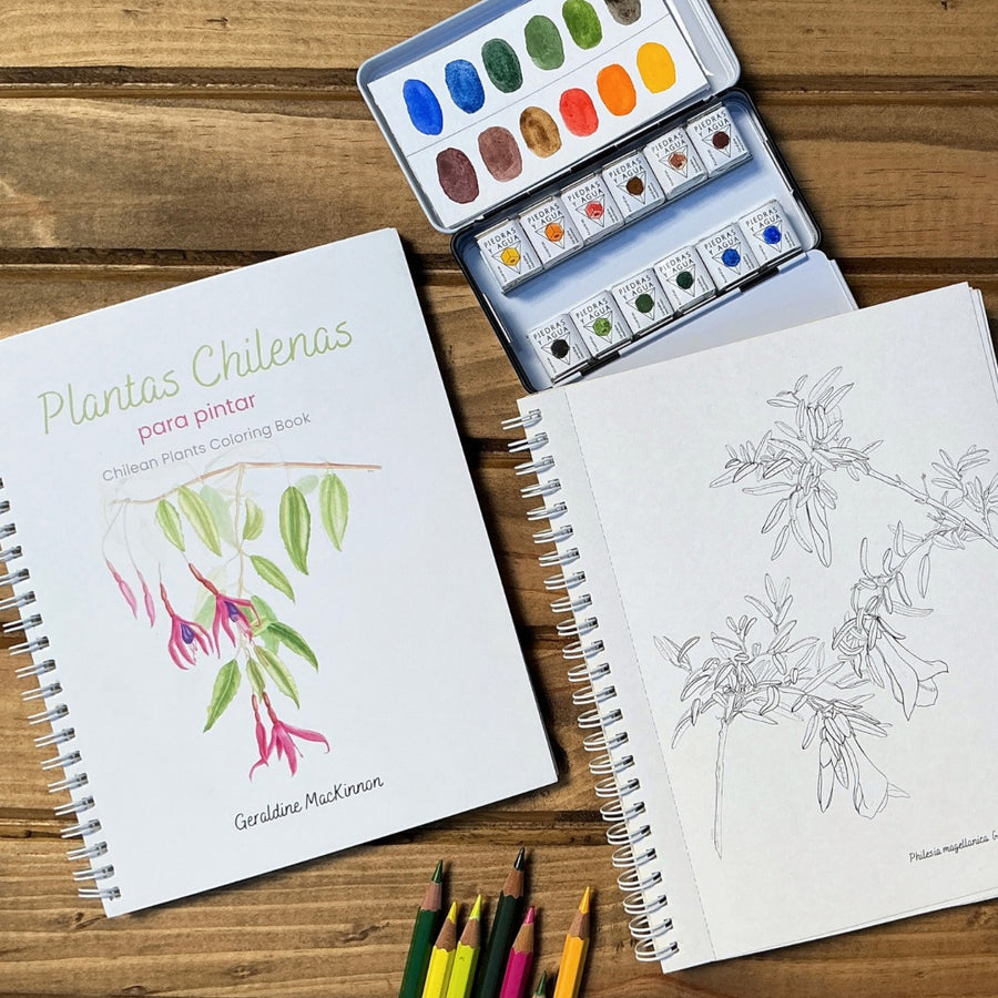 Libro Plantas Chilenas para Pintar