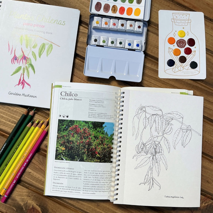 Libro Plantas Chilenas para Pintar