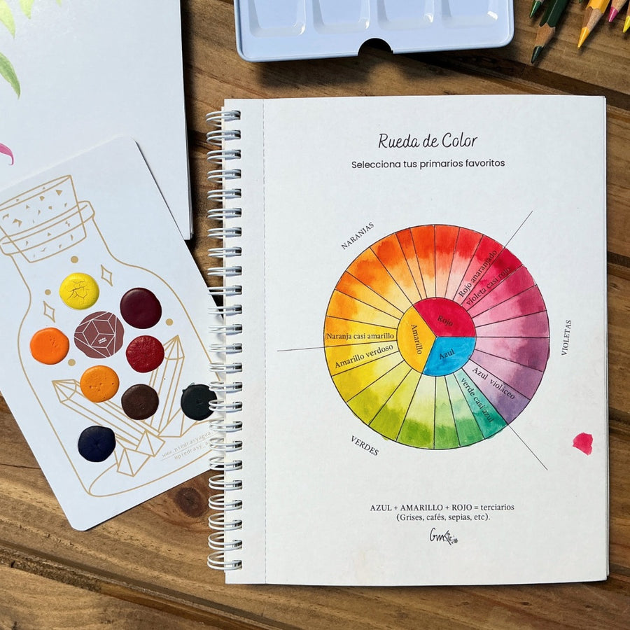 Libro Plantas Chilenas para Pintar