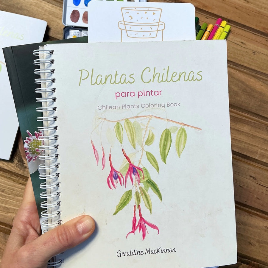 Libro Plantas Chilenas para Pintar
