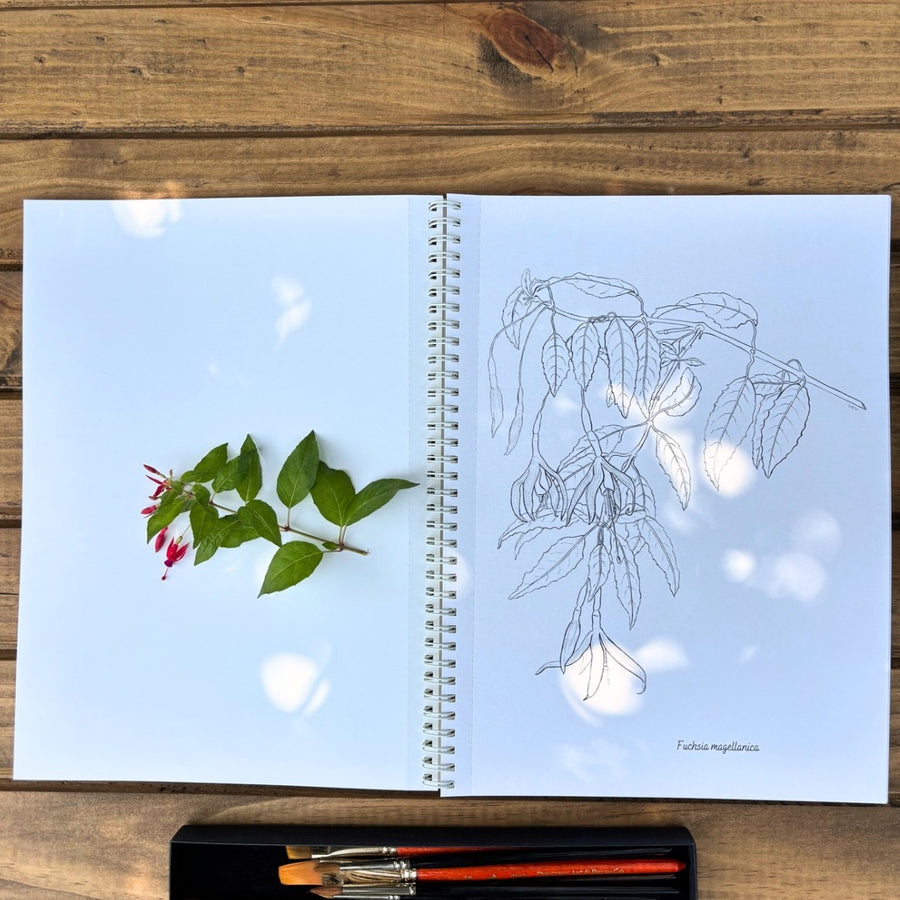 Libro Plantas Chilenas para Pintar / edición expandida