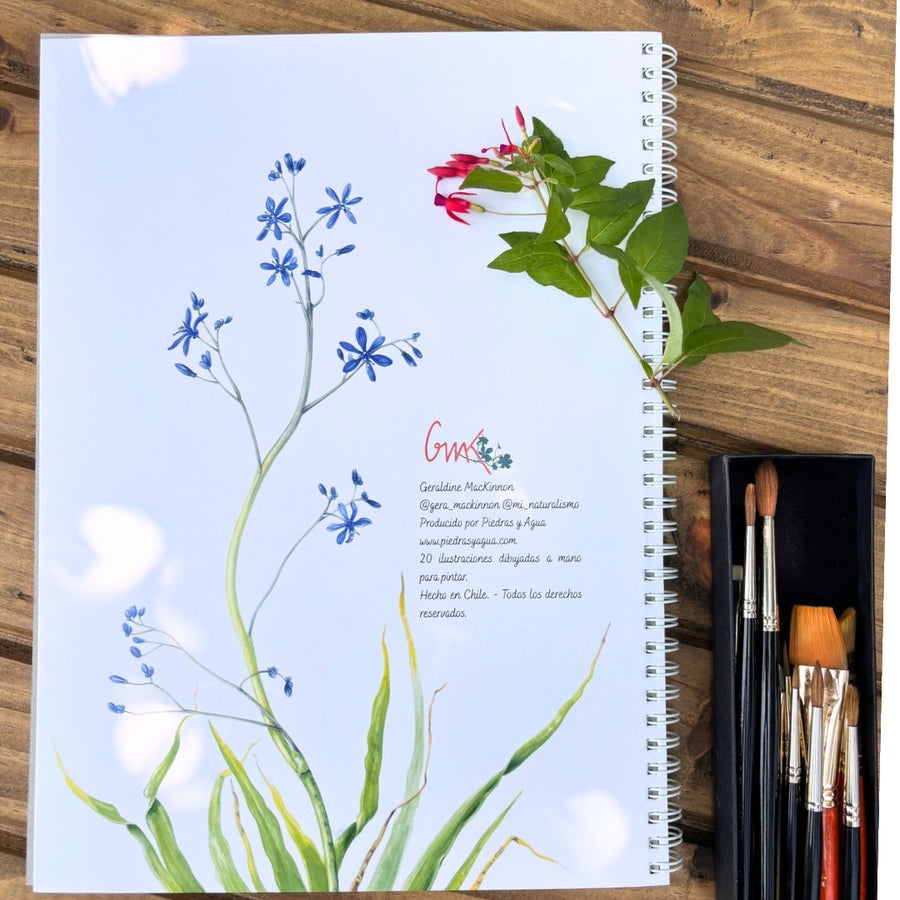 Libro Plantas Chilenas para Pintar / edición expandida