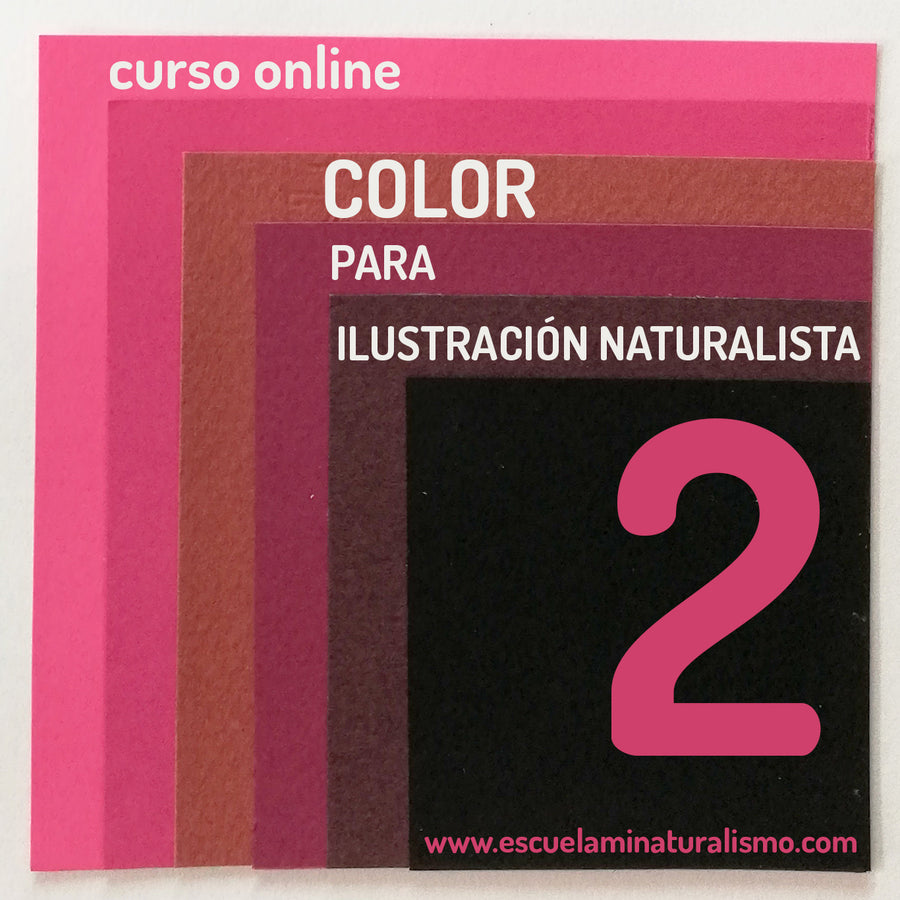 Color en Ilustración Naturalista en Acuarela II