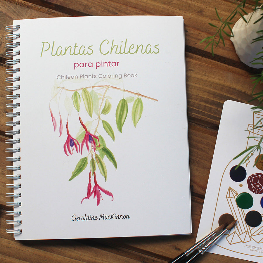 Libro Plantas Chilenas para Pintar