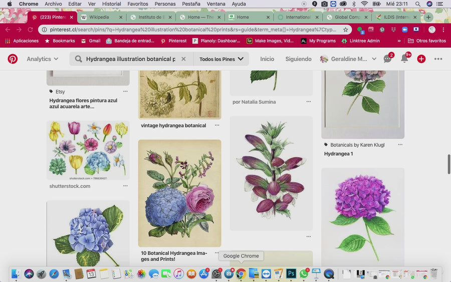 Curso Online: Lámina botánica con 3 tipos de flores - Geraldine MacKinnon