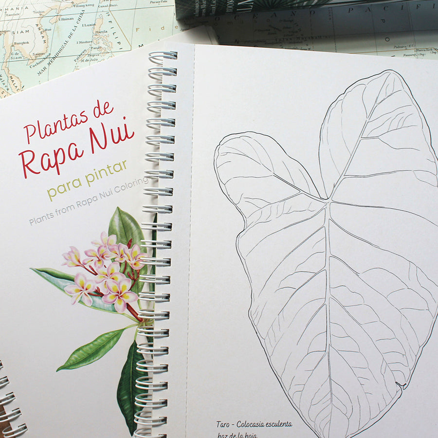 Libro Plantas de Rapa Nui para pintar