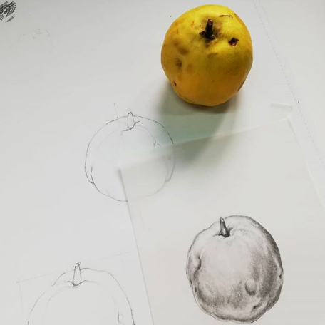 Dibujo de frutos y semillas