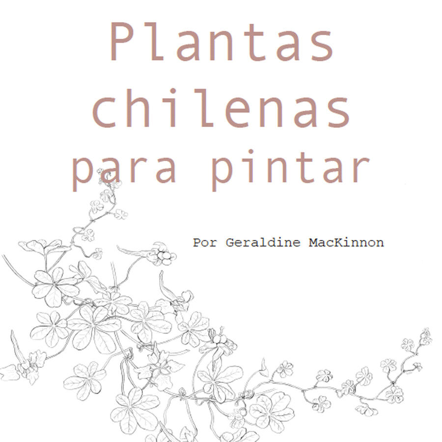 Plantas Chilenas para Pintar
