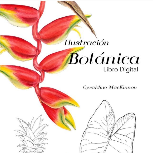 Portada libro digital Ilustración Botánica por Geraldine MacKinnon